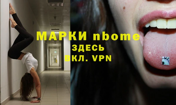 твердый Алзамай