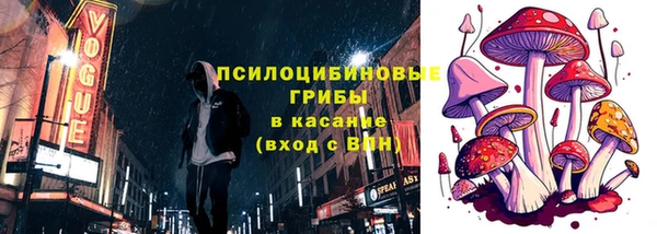 винт Аркадак