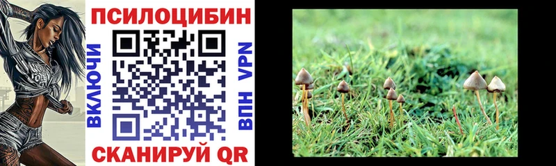 Псилоцибиновые грибы Cubensis  Красный Кут 